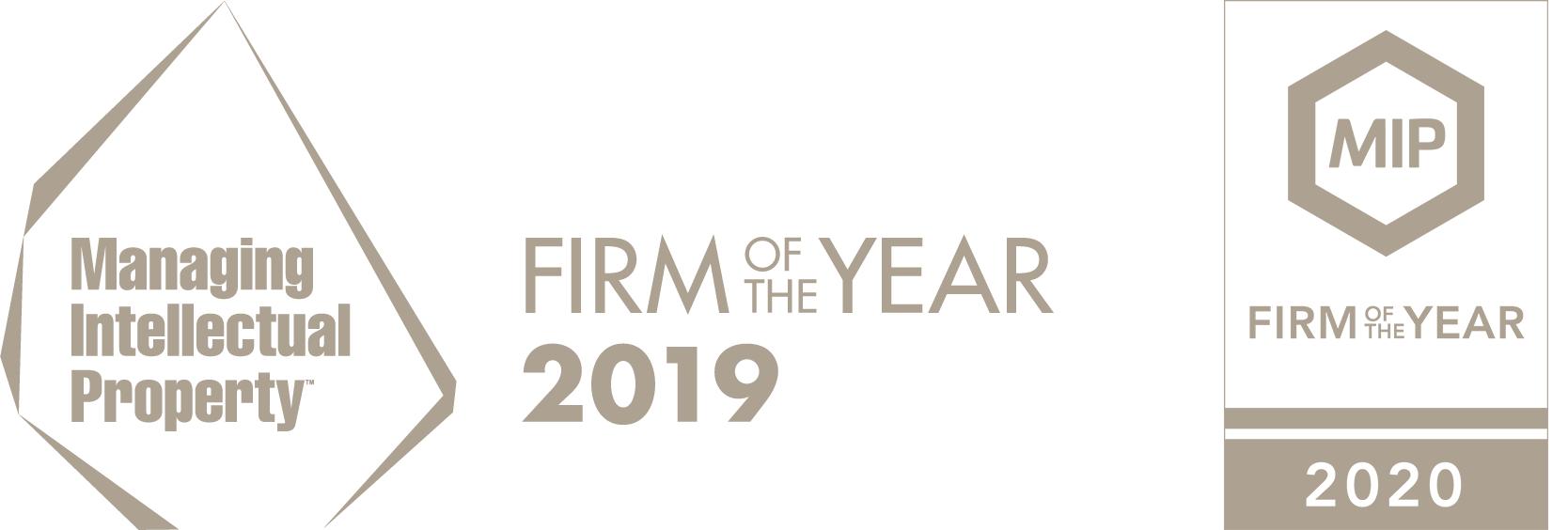 Puchberger & Partner - Firm of the Year 2019-2020